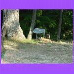 A Place To Write_t.jpg